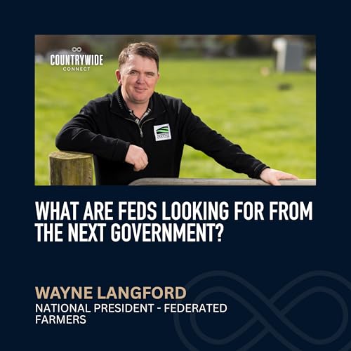 Wayne Langford - What are the Feds looking for from the next government?