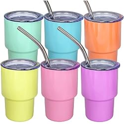 6 Pack 3oz Mini Tumbler Shot Glass with Straw and Lid