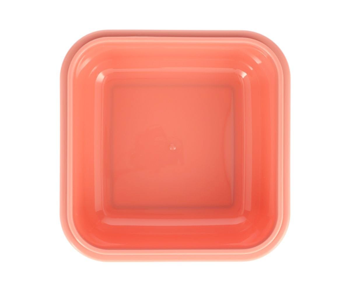 Boîte à Déjeuner Enfant Tutete 780 Ml - Hermétique, Micro-ondes Et Lave-vaisselle - Sans BPA - Design Dinos World - 2