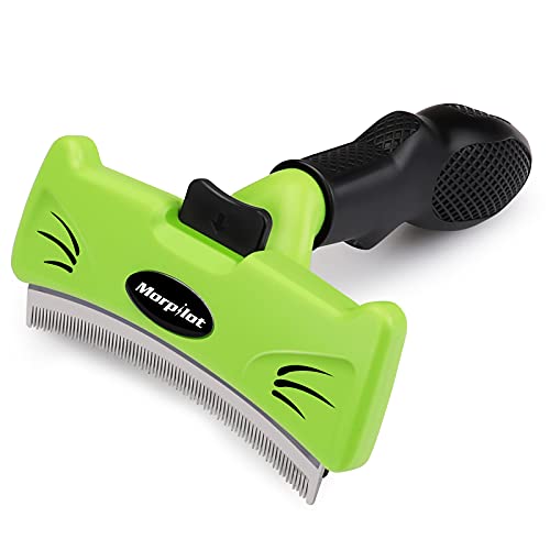 Migliori Spazzola Per Cani Che Asciuga (con Recensioni