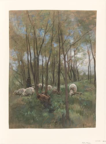 Tableau Troupeau de moutons dans une forêt Anton Mauve impression graffiti art mural 60x90cm