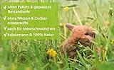 Wiesenknopf Strukturmüsli 1 kg Kaninchenfutter