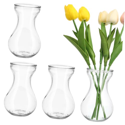 VALICLUD Lot de 4 Vases à Fleurs en Verre Transparent, Vases Hydroponiques Stables et Décoratifs, Design Épuré, Maison Bureau