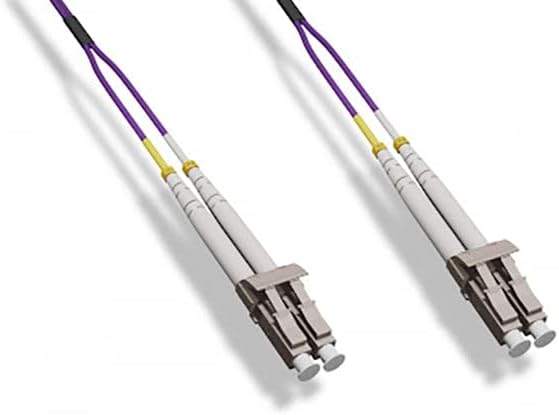 Hiten 版画 アールジュネス / アールビバン保証書付 Hiten「Limonium