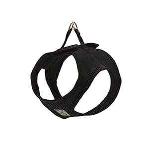 RC Pet Products Step in Cirque Soft Walking Dog Harness, Medium, Black