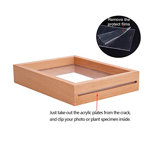 Longwin 5X7 Wood Floating Picture Frames Double Sided Acrylic Press Flower Plant Specimen Frame Artwork Dried Leaf Display Table Decoration #TOP3