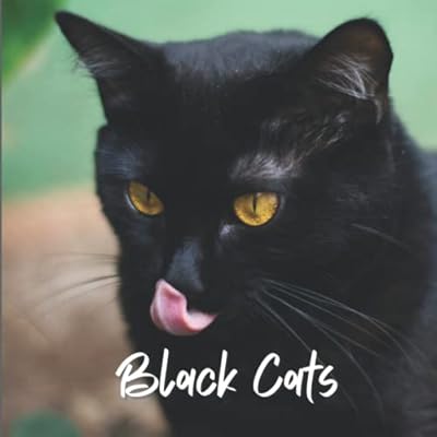 Black Cats Calendar 2022