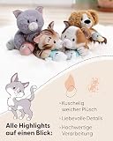 NICI Kuscheltier Katze 20cm - grau - Weiches NICI Plüschtier – niedliches Stofftier zum Kuscheln & Spielen – tolle Geschenkidee für Kinder & Erwachsene - 62143