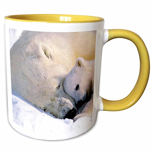 3dRose Wild Animals - Polar Bear and Cub 11oz Two-Tone Yellow Mug