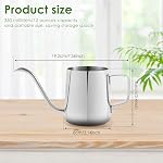 12oz/350ml Pot d'arrosage des plantes en acier inoxydable, petit pot d'abreuvoir pour les plantes intérieures,Mini Arrosage avec bouche longue & Poignée ergonomique pour la maison intérieure Plantes Fleur Bonsai Jardin extérieur (Silvery)