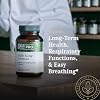 GAIA HERBS PRO Daily Lung Formula - Respiratory Health Support* - Immune Supplement with Mullein Leaf, Marshmallow Root & More - Vegan, Gluten-Free, Soy-Free - 60 Liquid Phyto-Caps (60 Servings)