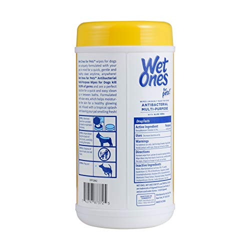 Wet Ones for Pets Multi-Purpose Dog Wipes With Aloe Vera | Dog Wipes For All Dogs in Tropical Splash, Wet Ones Wipes for Paws & All Purpose | 50 Ct Cannister Dog Wipes