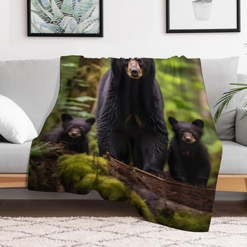 Couverture jeté flannel ours chaud durable couverture pour canapé - 3