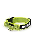  Julius-K9 Collar Color & Gray con Asa - 40 mm, Neon