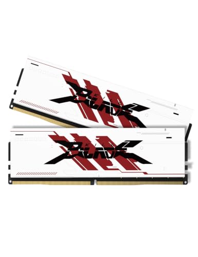 PUSKILL 32GB Kit (2x16GB) DDR4 RAM 3200MHz PC4-25600 Desktop Memory with Aluminum Heatsink Non-ECC Unbuffered UDIMM 1.35V CL16 288-Pin High Performance Gaming PC Upgrade for Intel & AMD