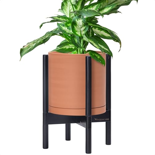 D'vine Dev Terracotta Pot with Ebony Wood Stand, 10 in, 55-B-L-5
