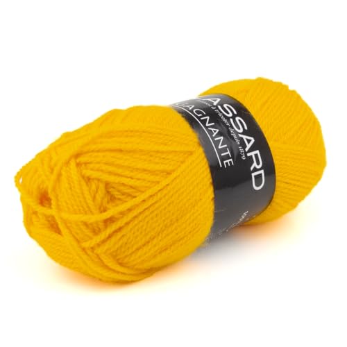 Plassard Laine Gagnante 921 Jaune