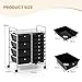 TANGZON 12 Drawers Storage Cart, Rolling Utility Cart with Lockable Wheels, Multipurpose Mobile Trolley Organizer for Home Office Stationery Beauty Salon (Black, 63 x 37 x 75cm, 2 Sizes Drawers)