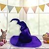 Qianderer Wicked Costumes Adult Crooked Witches Hat Fancy Dress Halloween Accessory,One Size (Purple, One Size) #3