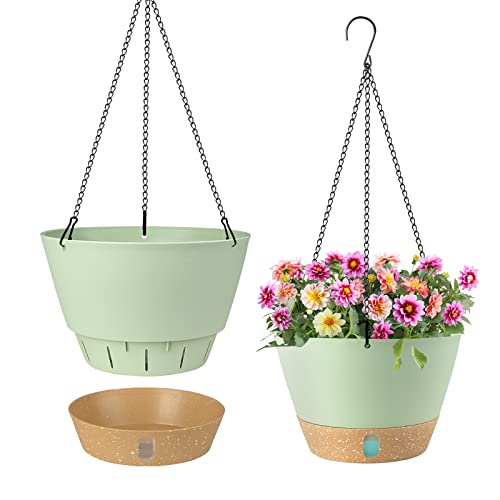 Plant Pots Set 2 Pack 8 Inch Planters Indoor Plants Drainage Holes