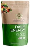 Spring of Life Daily Energy Superfood Dietary Supplement Greens Powder, The Superfood Greens Drink Bursting with Antioxidants and Essential Nutrients, 30 Day Supply