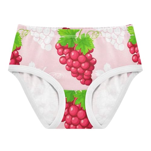 Clusters Red Grapes Light Pink Girl Panties Cute Girls Underwear Toddlers Cotton Artistic Briefs Girls Undies 2t