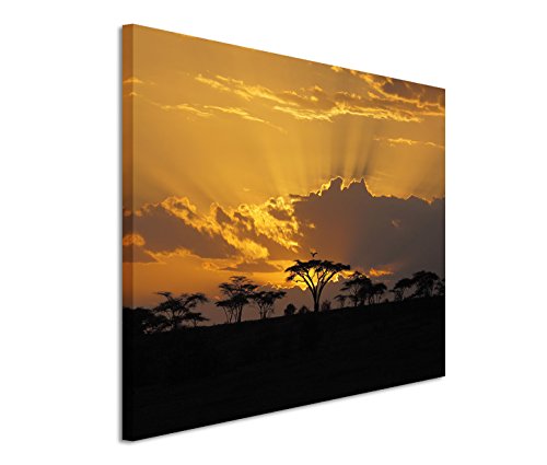 Bestforhome GmbH Fotografia paesaggistica – Tramonto Africano in Acacia, 120 x 80 cm