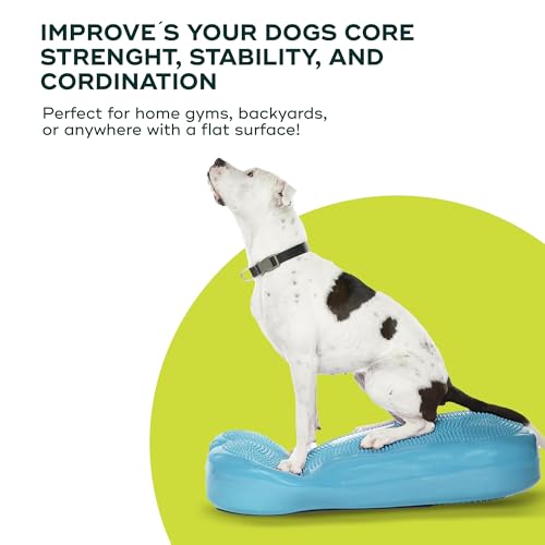 FitPAWS Giant Fitbone (blau)
