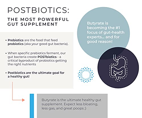 Gut Health Supplement 100 Caps - Butyrate + Sodium | The Ultimate Postbiotic | No Bloating | No Gas | Great Poops | Supports Healthy Digestion | Leaky Gut Repair | No Additives By Bodybio #TOP2