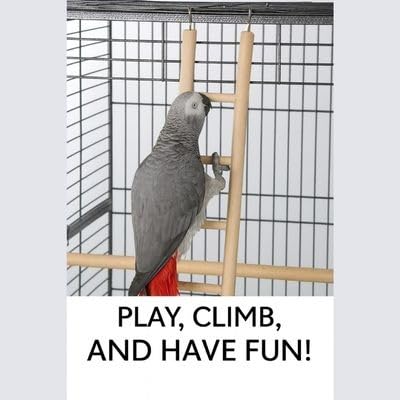 Image of KSK Wooden Ladder Bird Toy - Natural Climbing & Chew Toy for Parrots, Cockatiels, Conures, African Greys, Hamsters & Small Pets