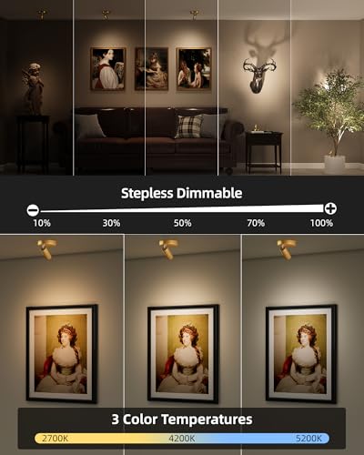Image of EZVALO LED Spotlight Indoor, 5500mAh Rechargeable Battery-Powered Picture Lights, Wireless Mini Art Accent Spotlights with Remote, Uplighting for Plants, Display, Artwork (1-Pack-Gold)