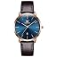 Brown Leather&blue Dial
