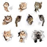 【Material de alta calidad】 Este divertido y lindo adhesivo de pared de PVC colorido con animales de gato es desmontable, resistente al agua y ecológico. Los colores no se desvanecen, se mantienen brillantes y coloridos, son duraderos y tienen una larga vida útil.