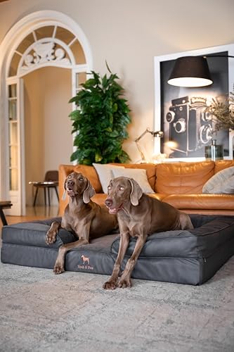 Image of NOAH & PAW Giant Dog Bed XXL, 55x45x11 Inch, Orthopedic Dog Beds, Eggshell Memory Foam Infused with Cooling Gel, Inner Cover, Water Resistant, Machine Washable (Faux Leather)