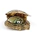 4PC Saltwater Love Wish Akoya Pearl Oyster with Pearls Inside (6-8mm, 4PC)