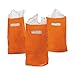 DOMAGRON 8.75" x 12" Orange Treat / Goody Bag (package of 50)