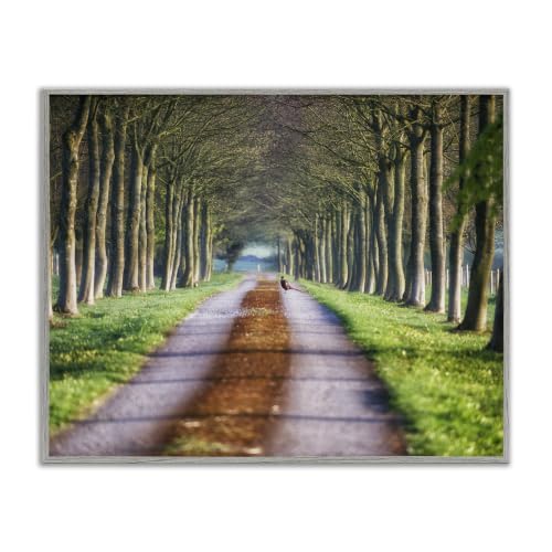 'Aligned Trees Along Orchard Path Nature Tunnel'| Framed Giclee Art