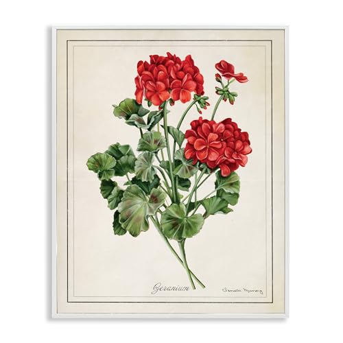 Vivid Geranium Blossoms Floral, 16 x 20 Inch Framed Giclée Print