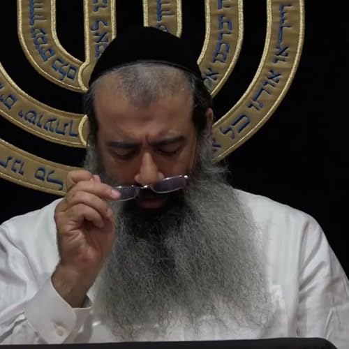 תומר דבורה 33 (45 בפועל) פרק 9