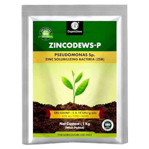 Image of OrganicDews Zinc Solublizing Bacteria Bio Fertilizer 1 Kg (5x10^7 CFU /g) for Plants - Soil Fertility, Faster Plant Growth and Increases the Yield 1 Kg