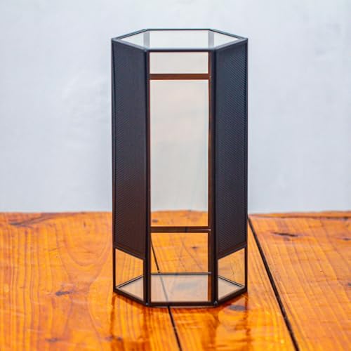NCYP Small Glass Terrarium with Mesh and Door for Spiders,