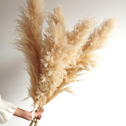 5 piezas pampas grass 50-60 cm decoración boho miniatura 5