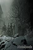  Resident Evil Village C 21 Notebook: - Letter Size 6 x 9 inches, 110 wide ruled pages