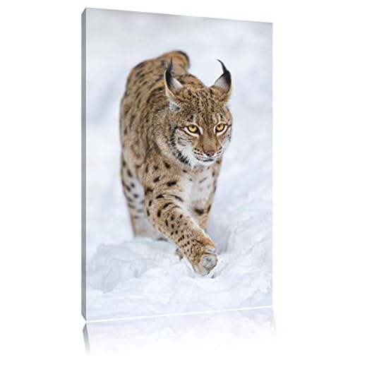 Lynx dans la neige Toile, XXL photos complètement encadrée avec de grandes images de coin, art impression sur la photo murale avec cadre, moins cher que la peinture ou une peinture à l'huile, pas une affiche ou bannière