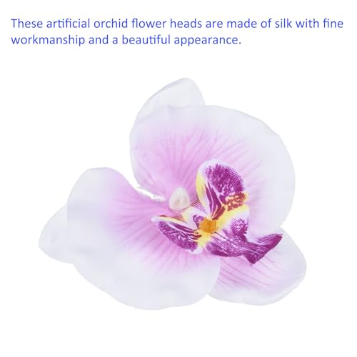 Têtes d'orchidée en soie de qualité supérieure blanc violet M METERXITY - 5