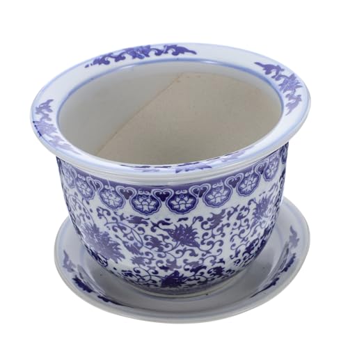 YARNOW Keramik-pflanztopf Mit Tablett Für Bonsai Gartendekoration Bürozubehör