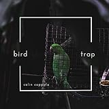  Bird Trap