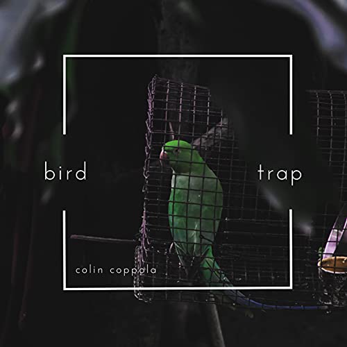  Bird Trap