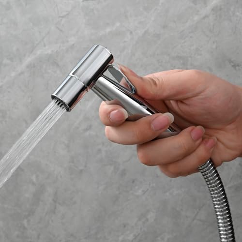 Douchette WC kit complet eau froide acier inoxydable flexible support chromé WS024DF3