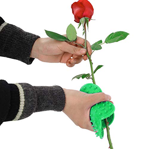 YARNOW Pince à Épines De Roses avec Ressort Outil Jardinage Robuste pour Enlever Épines Et Accessoire Indispensable pour Bouquets DIY Et Fleuristes
